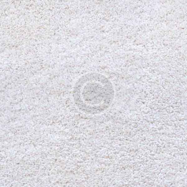 White Carpet